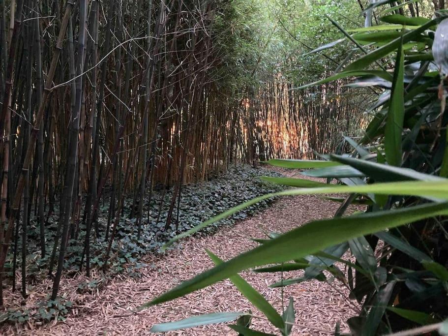 Maison De Campagne - La Belle Claudine Laruscade Ngoại thất bức ảnh